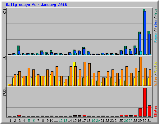 Daily usage for January 2013