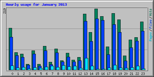 Hourly usage for January 2013