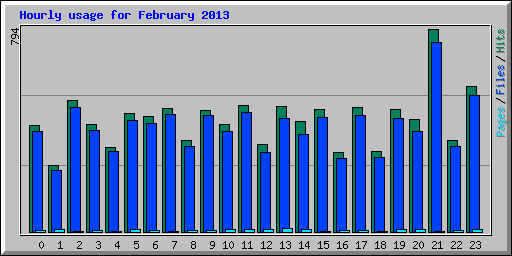 Hourly usage for February 2013