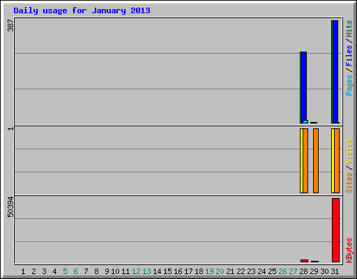 Daily usage for January 2013
